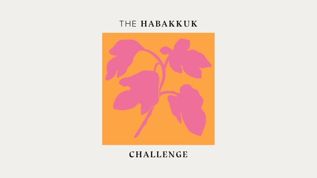 the-habakkuk-challenge-lesson-2.jpg